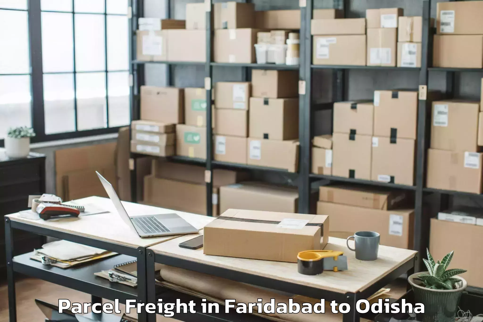 Book Your Faridabad to Banigochha Parcel Freight Today